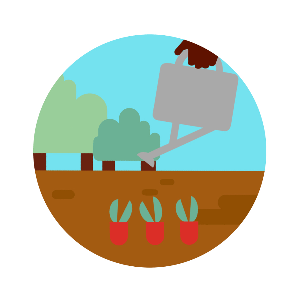 Support growing crops image